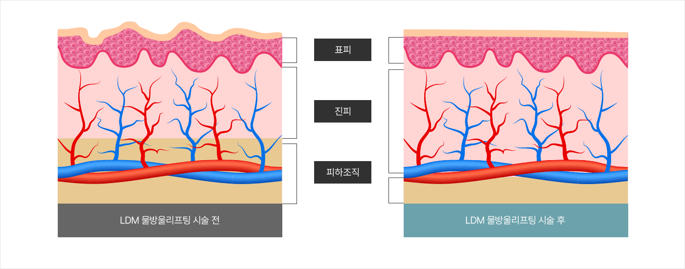 컨텐츠이미지