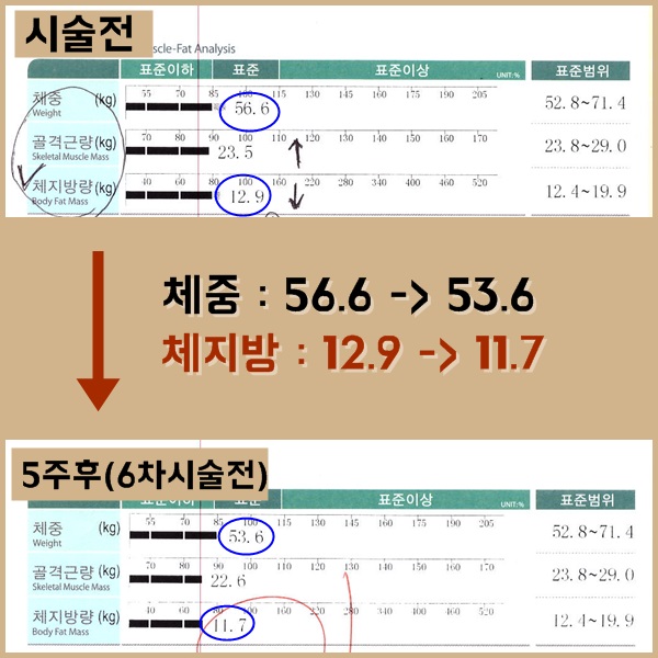 컨텐츠이미지