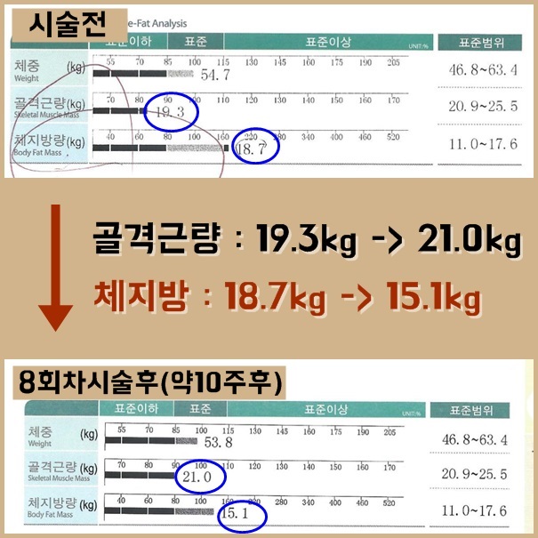 컨텐츠이미지