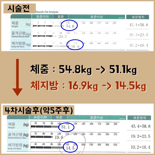 컨텐츠이미지