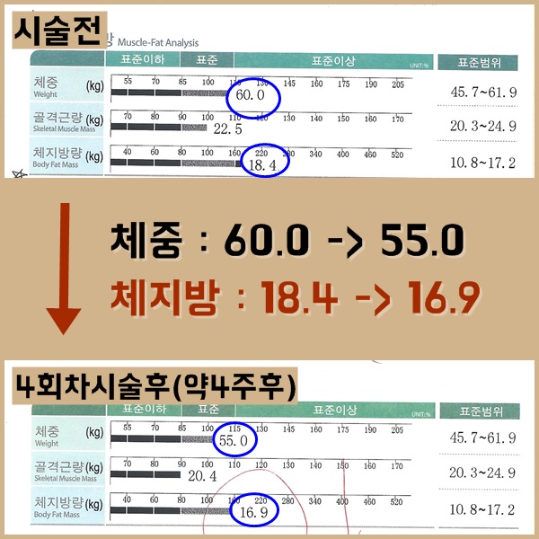 컨텐츠이미지